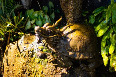 Tayland, Chiang Rai 'deki Beyaz Tapınak Bölgesi 