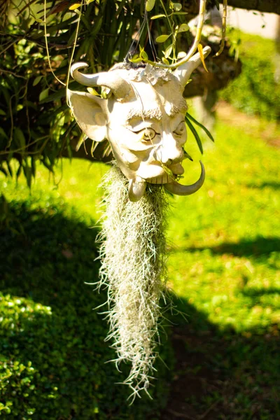 Territorium Van Witte Tempel Chiang Rai Thailand — Stockfoto