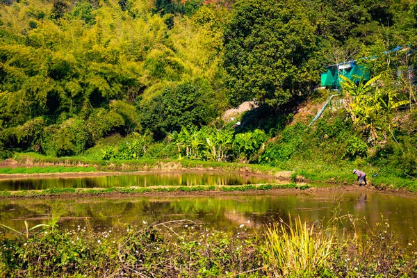 Território Templo Branco Chiang Rai Tailândia — Fotografia de Stock