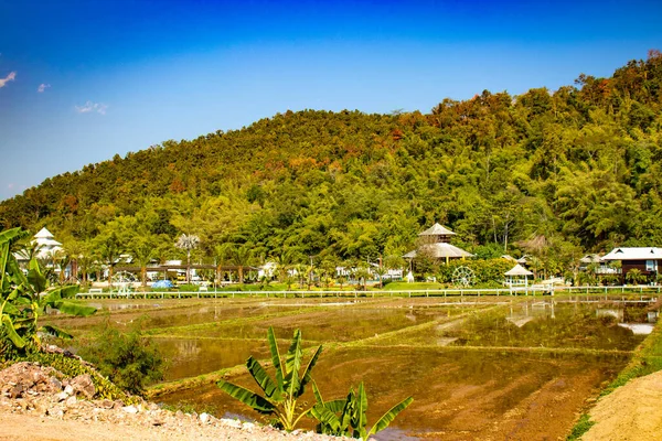 Territoire Temple Blanc Chiang Rai Thaïlande — Photo