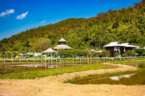Territoire Temple Blanc Chiang Rai Thaïlande — Photo
