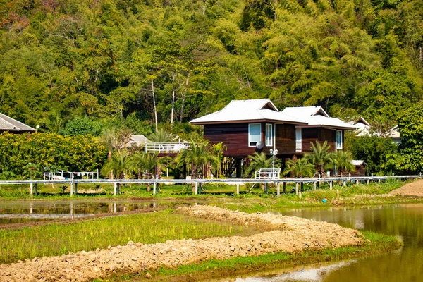 Territory White Temple Chiang Rai Thailand — Stock Photo, Image