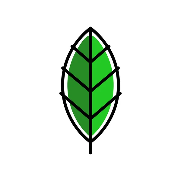 Grünes Stilisiertes Pflanzenblatt Mit Schwarzem Umriss Isolierte Farb Vektorillustration — Stockvektor