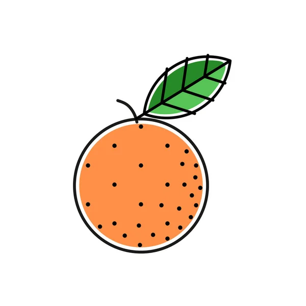 Oranje Mandarijn Gestileerd Met Zwarte Omtrek Kleur Vector Illustratie — Stockvector