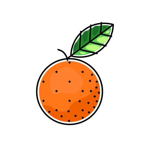 orange or tangerine stylized with black outline, color vector illustration