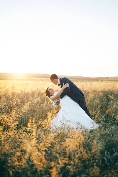 Jovem casal no campo do trigo no por do sol — Fotografia de Stock