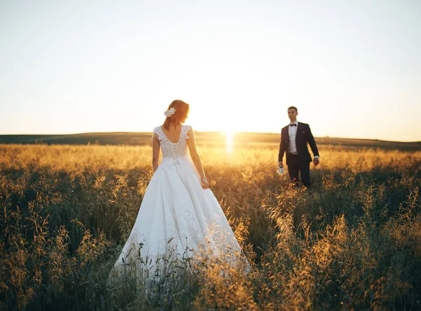 Jovem casal caminhando no campo de trigo ao pôr do sol — Fotografia de Stock