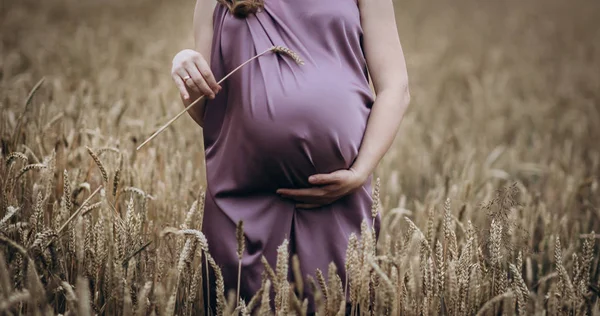 Беременная женщина на поле пшеницы — стоковое фото