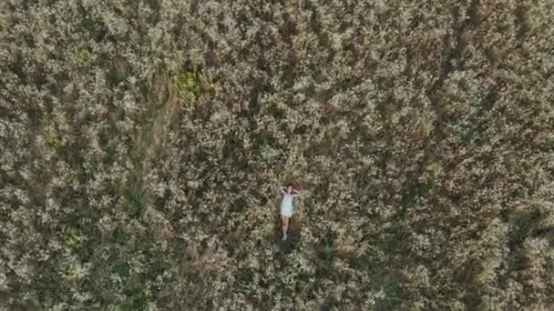 Vista aérea de una niña acostada en un campo de flores y relajante — Vídeo de stock