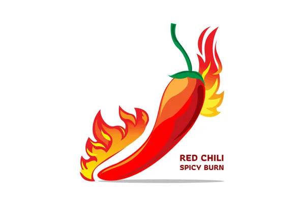 Rode Chili Kruidige Brand Met Vlam — Stockvector