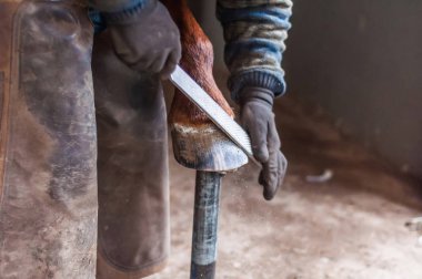 Atların toynakları için metal at ayakkabı kadar koyarak demirci.
