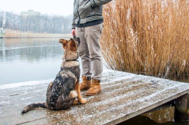 Alman çoban köpek kış sahibi ile