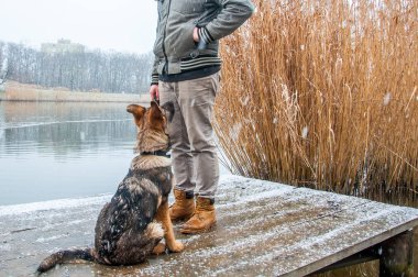Alman çoban köpek kış sahibi ile