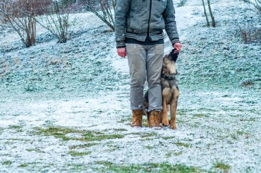 Alman çoban köpek eğitim, kış
