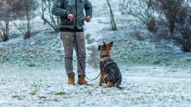 Alman çoban köpek yavrusu kış yürüdü