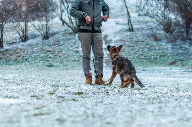 Alman çoban köpek yavrusu kış yürüdü