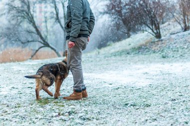Alman çoban köpek yavrusu kış yürüdü