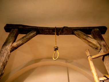 Darağacı ağacında görünüm