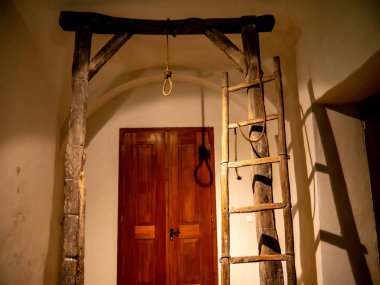 Darağacı ağacında görünüm