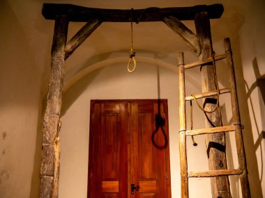 Darağacı ağacında görünüm