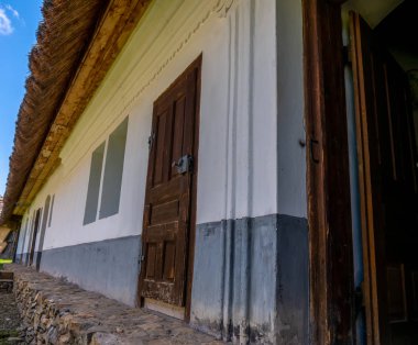 Bahçede bir at görünümü
