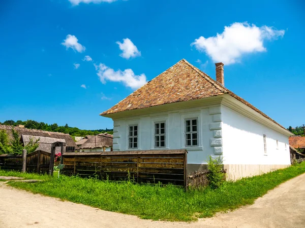 Pohled na koně na dvoře — Stock fotografie