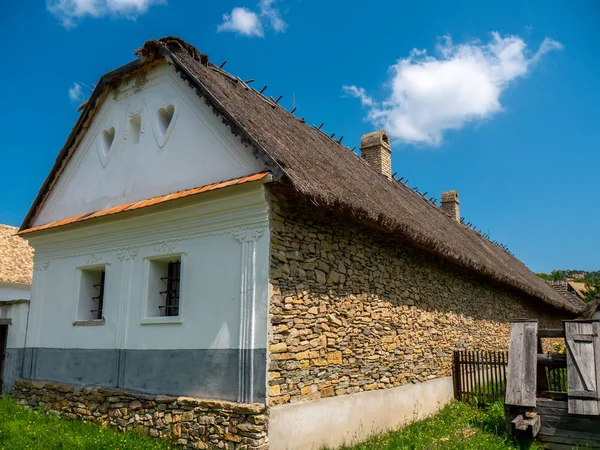 Widok na koniu na podwórzu — Zdjęcie stockowe