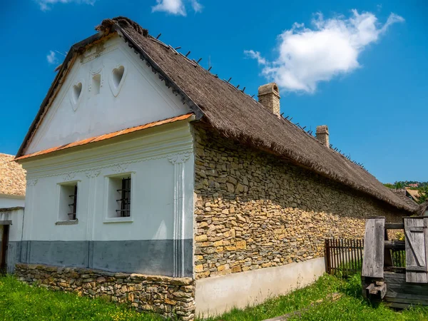 Pohled na koně na dvoře — Stock fotografie