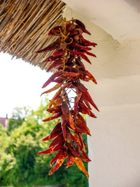 Szentendre ev duvarında kurutulmuş kırmızı kırmızı biber görünümü