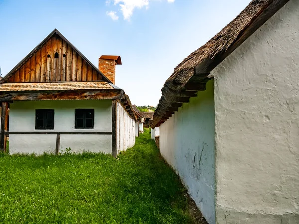 Pohled na koně na dvoře — Stock fotografie