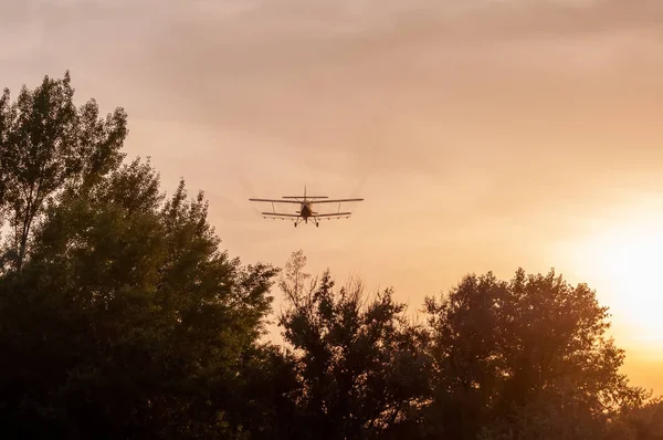 Beskåda på ett gammalt flygplan som flyger under solnedgången — Stockfoto