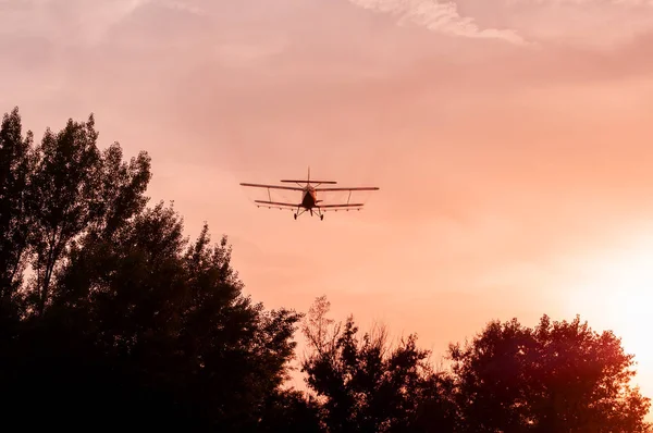 Beskåda på ett gammalt flygplan som flyger under solnedgången — Stockfoto
