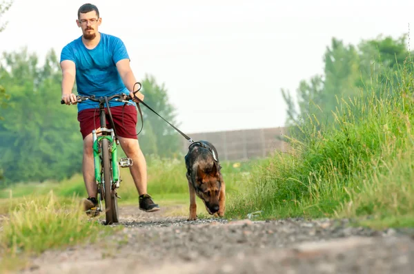 Blick auf einen Hund und einen Mann auf einem Fahrrad beim Training eines Schäfers — Stockfoto