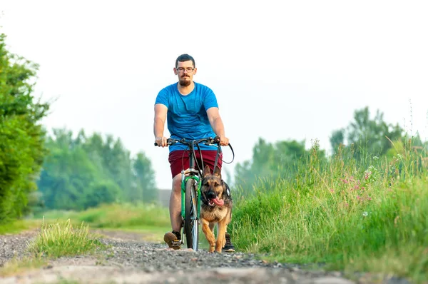 Bir Alman shephe eğitim sırasında bir köpek ve bisiklet bir adam görünümü