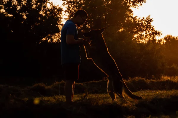 Вид на мужчину и немецкую овчарку во время заката — стоковое фото
