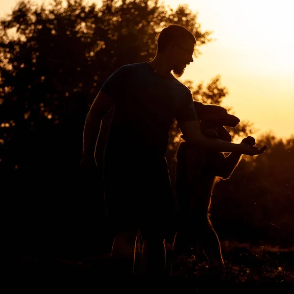 View on a man and german shepherd dog during a sunset — Stock Photo, Image