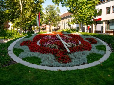Güneşli bir günde Macaristan 'ın Szekesfehervar şehrinde çiçeklerden yapılmış bir saate bakın..