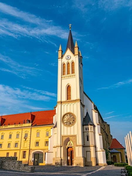 Vista Sobre Iglesia Nuestra Señora Magyarok Nagyasszonya Templom Keszthely Hungría —  Fotos de Stock