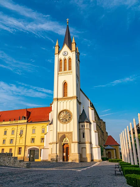 Vista Sobre Iglesia Nuestra Señora Magyarok Nagyasszonya Templom Keszthely Hungría —  Fotos de Stock