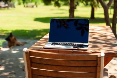 Güneşli bir günde ev ofisinin ya da ev okulunun bahçesindeki bir masada dizüstü bilgisayarlı bilgisayar, akıllı telefon ve kahve fincanı görüntüle.