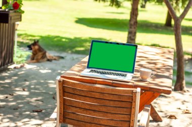 Güneşli bir günde ev ofisinin ya da ev okulunun bahçesindeki bir masada yeşil ekranlı ve kahve fincanlı bir bilgisayar ekranında görüntüle.