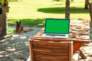 Güneşli bir günde ev ofisinin ya da ev okulunun bahçesindeki bir masada yeşil ekranlı ve kahve fincanlı bir bilgisayar ekranında görüntüle.