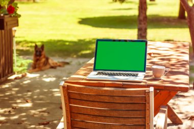 Güneşli bir günde ev ofisinin ya da ev okulunun bahçesindeki bir masada yeşil ekranlı ve kahve fincanlı bir bilgisayar ekranında görüntüle.