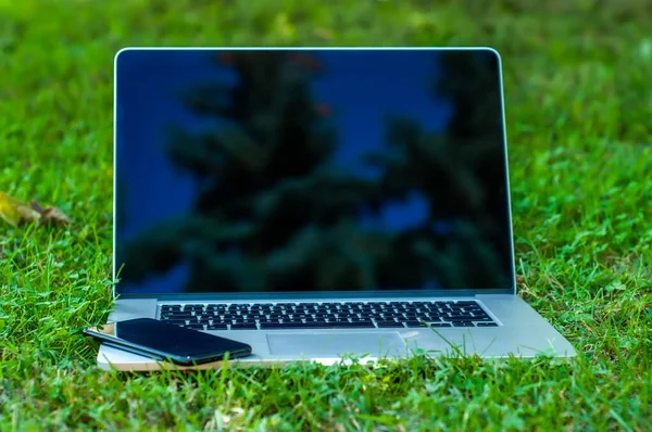 Güneşli bir günde ev ofisinin ya da ev okulunun bahçesindeki çimlerin üzerinde dizüstü bilgisayar ve akıllı telefondan görüntüle.