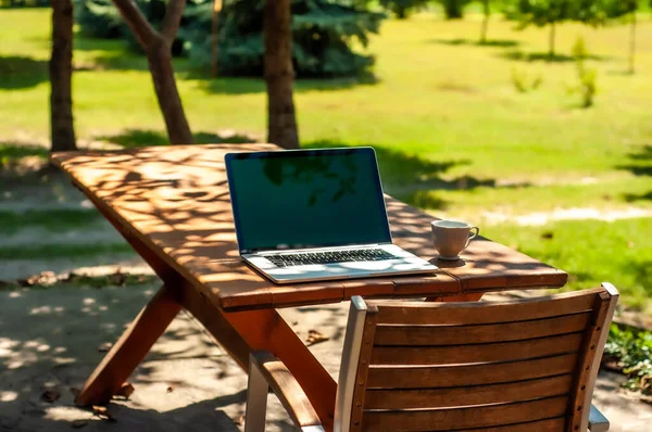 Güneşli bir günde ev ofisinin ya da ev okulunun bahçesindeki bir masada dizüstü bilgisayar ve kahve fincanına bakın..