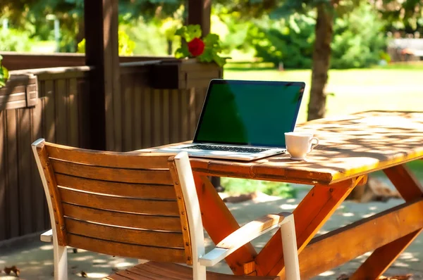Güneşli bir günde ev ofisinin ya da ev okulunun bahçesindeki bir masada dizüstü bilgisayar ve kahve fincanına bakın..