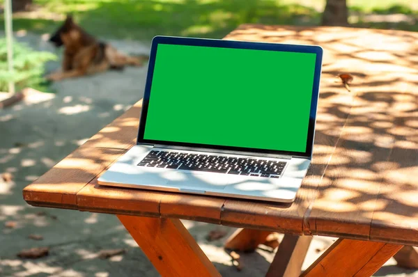 View on a laptop pc with a green screen on a table in the garden in a home office or home school enviroment on a sunny day.