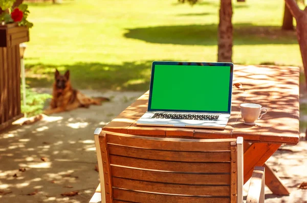 Güneşli bir günde ev ofisinin ya da ev okulunun bahçesindeki bir masada yeşil ekranlı ve kahve fincanlı bir bilgisayar ekranında görüntüle.