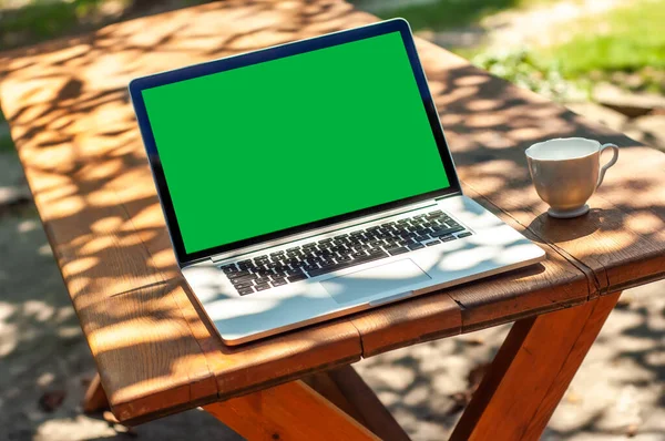 View on a laptop pc with a green screen and a coffee mug on a table in the garden in a home office or home school enviroment on a sunny day.