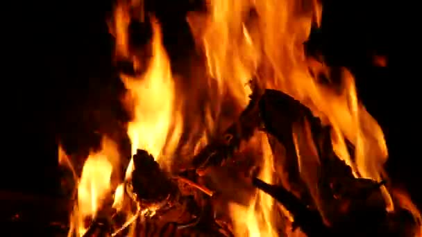 Video záběry hořícího a jiskřícího táboráku v noci s hořícími lesy v rozlišení 4K. — Stock video